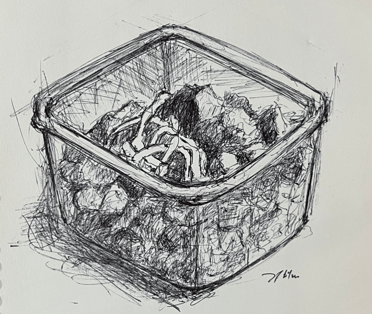 Leftovers and Loneliness<br>Volume 5 | Issue 2 [June 2025]
