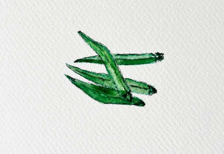 Bhindi<br>Volume 5 | Issue 2 [June 2025]
